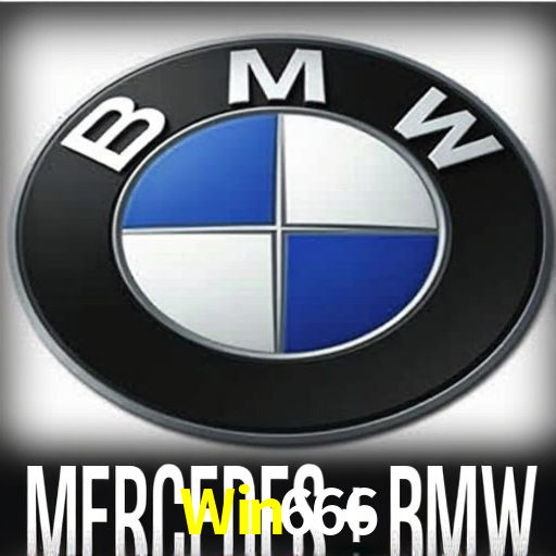 Premium Interface Win666