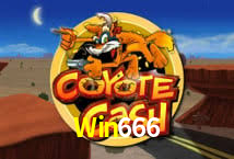 Crash Games Strategies Win666